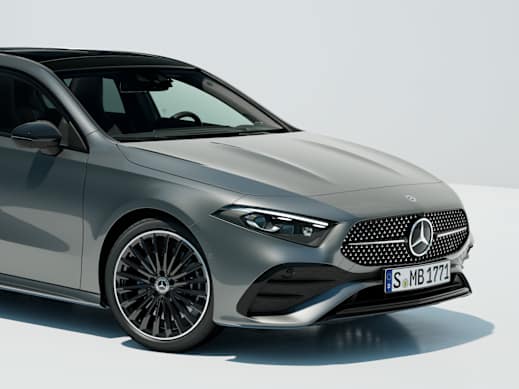 Radiator grille with Mercedes-Benz pattern and powerdomes