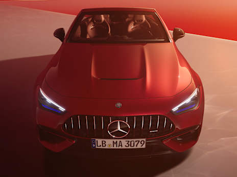 AMG-specific radiator grille
