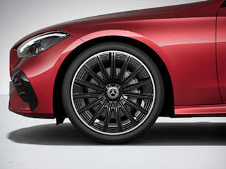 Sports brake system