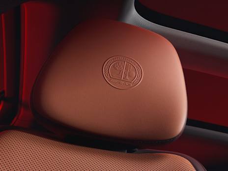Front head rests embossed with AMG crest