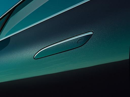Flush door handles