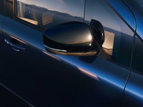 Exterior mirrors painted black